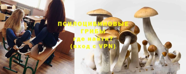 стаф Алексеевка