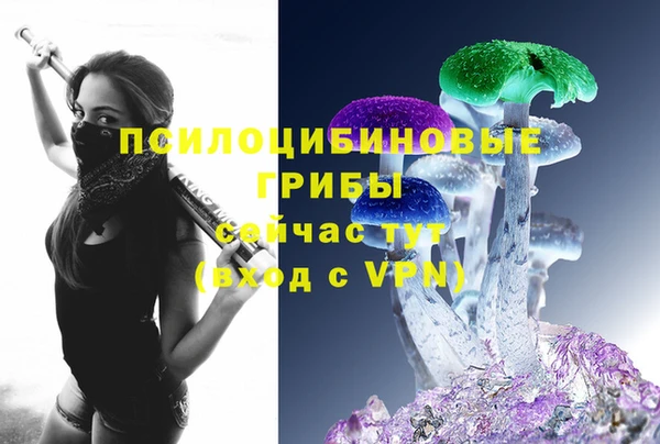 герыч Алзамай