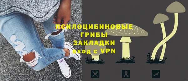 ПСИЛОЦИБИНОВЫЕ ГРИБЫ Алексин