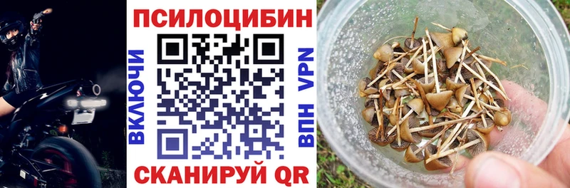 Псилоцибиновые грибы Psilocybe  Шадринск 